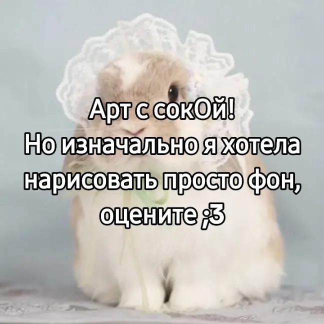 @чокопао 🍅