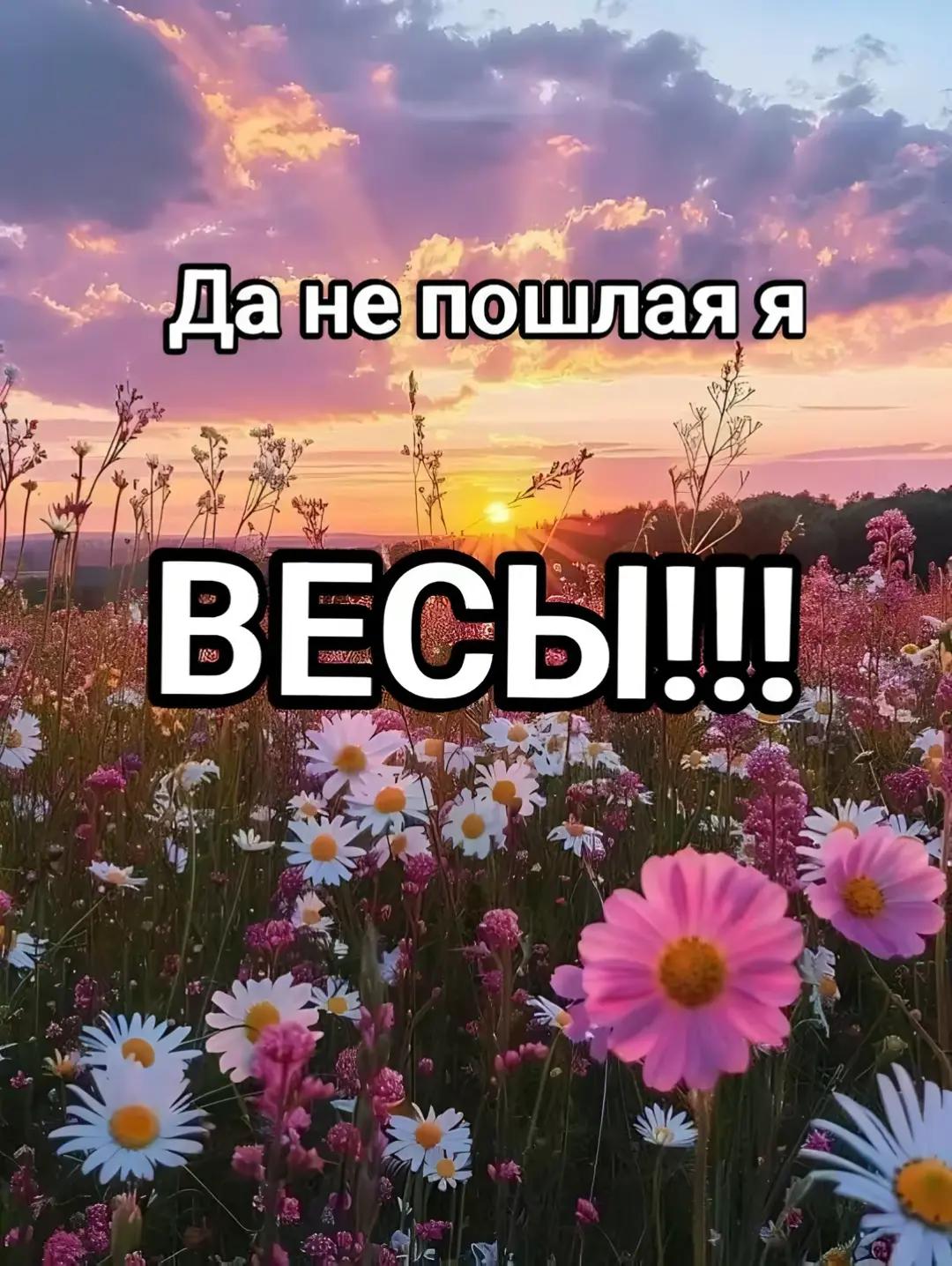 @xyu Makcuma