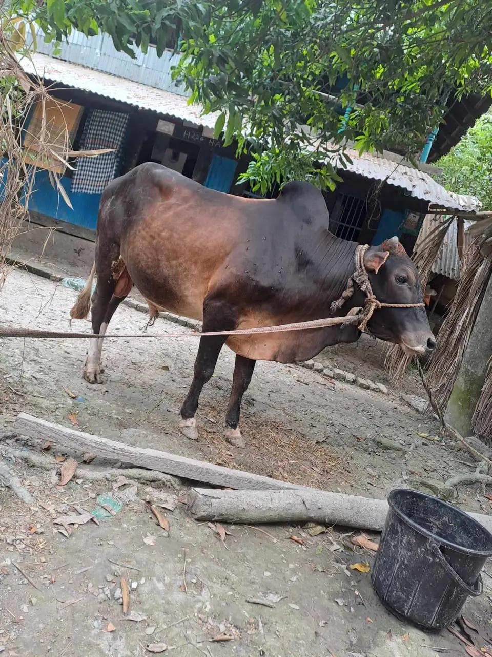 @Ayan