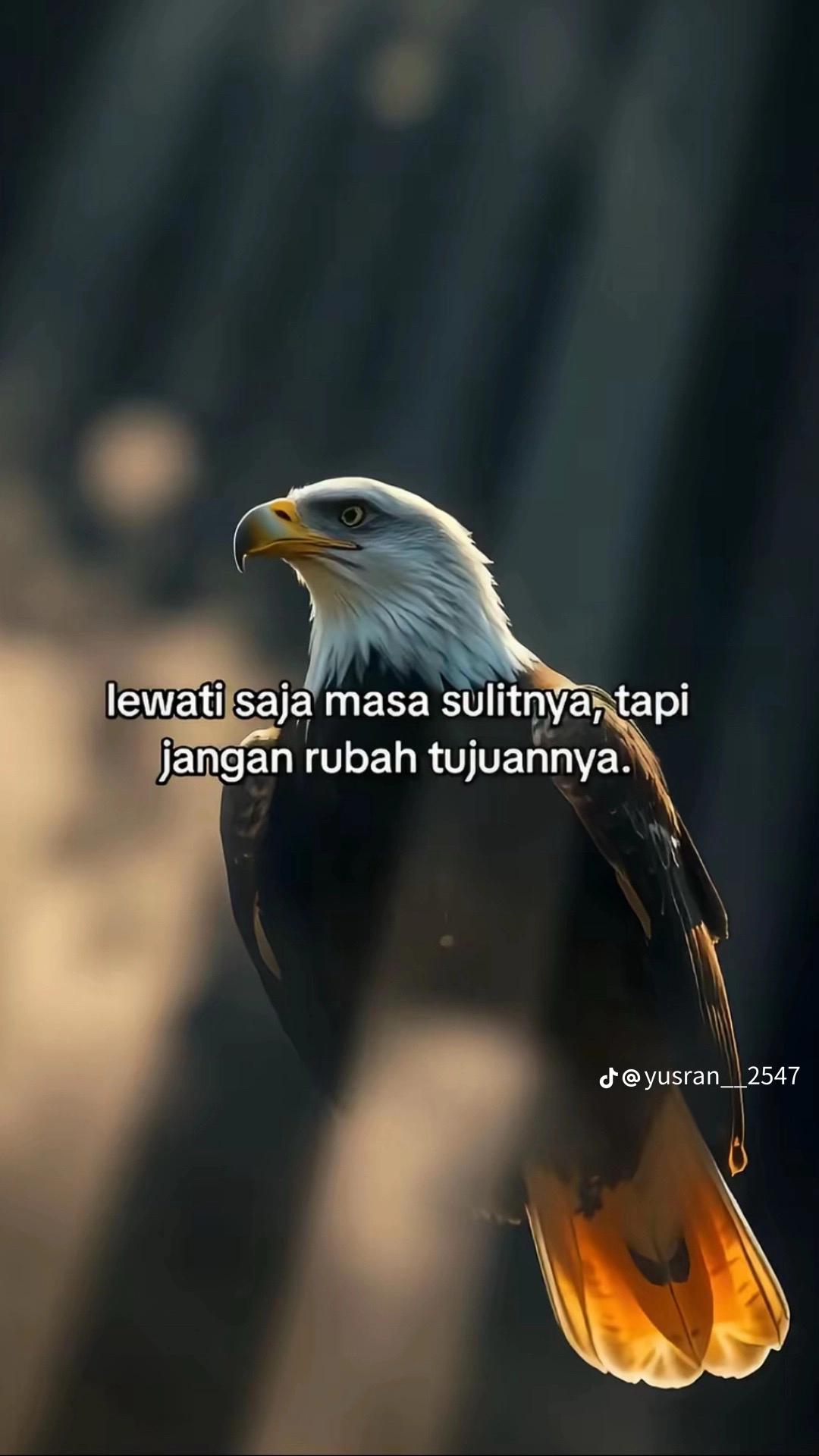 @ana🐣⚡🤍