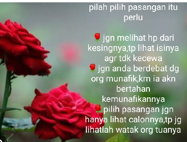 @Darul karomah