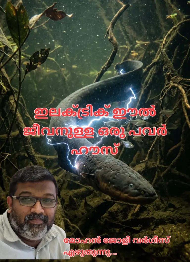 @Mohan Varghese Chris