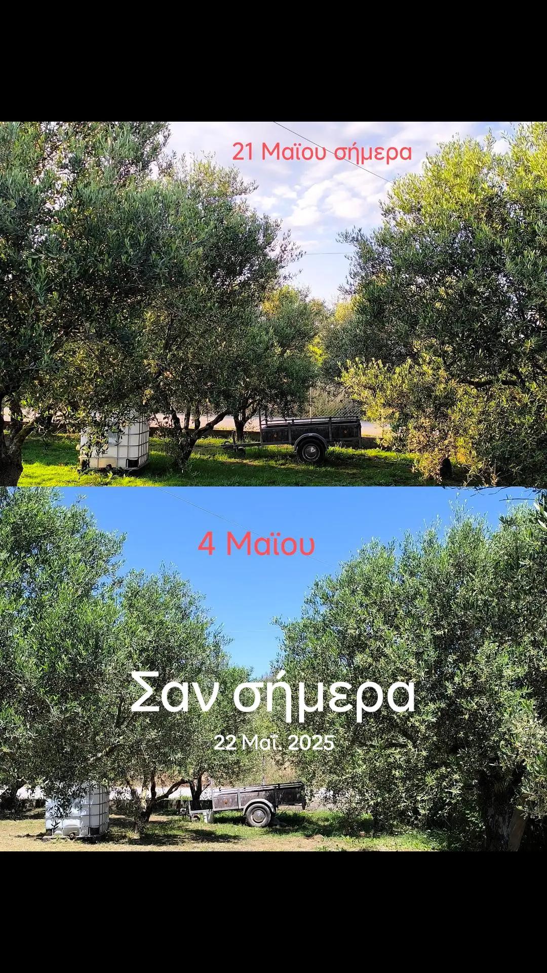 @&Alpha;&gamma;&alpha;&lambda;&iota;&alpha;&nu;ό&sigmaf; &Iota;&omega;ά&nu;&nu;&eta;&sigmaf; &Gamma;&epsilon;&omega;&pi;ό&nu;&omicron;&sigmaf;