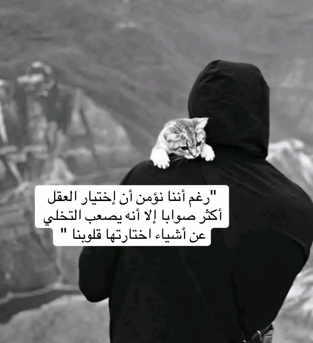 @So🦋so
