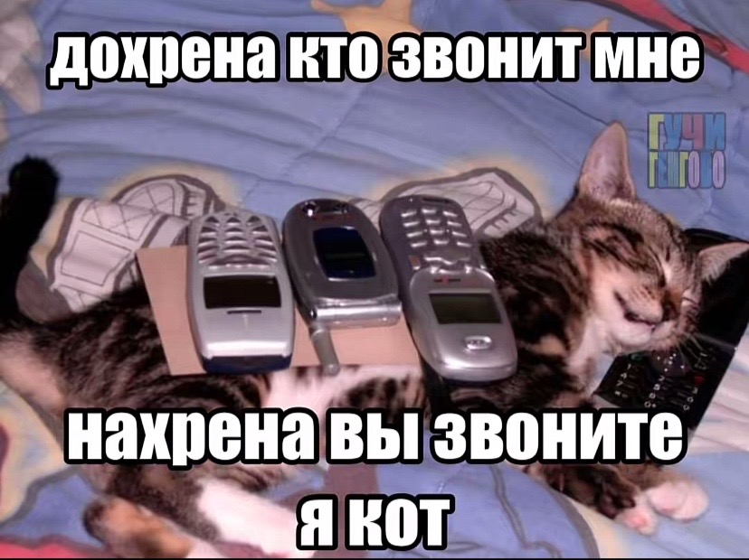 @тгк: JUZZOED