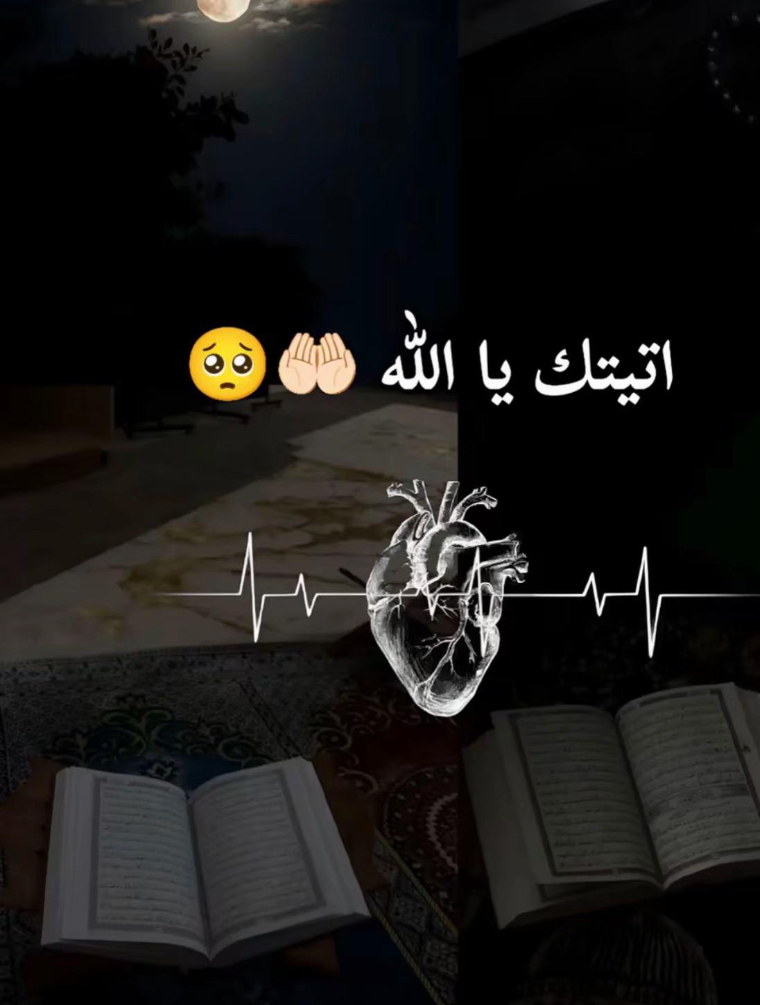 @Manara Toudi