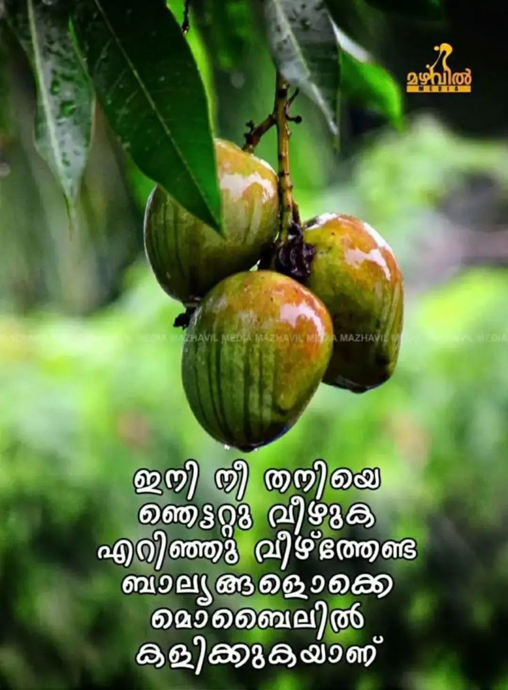 @zakir