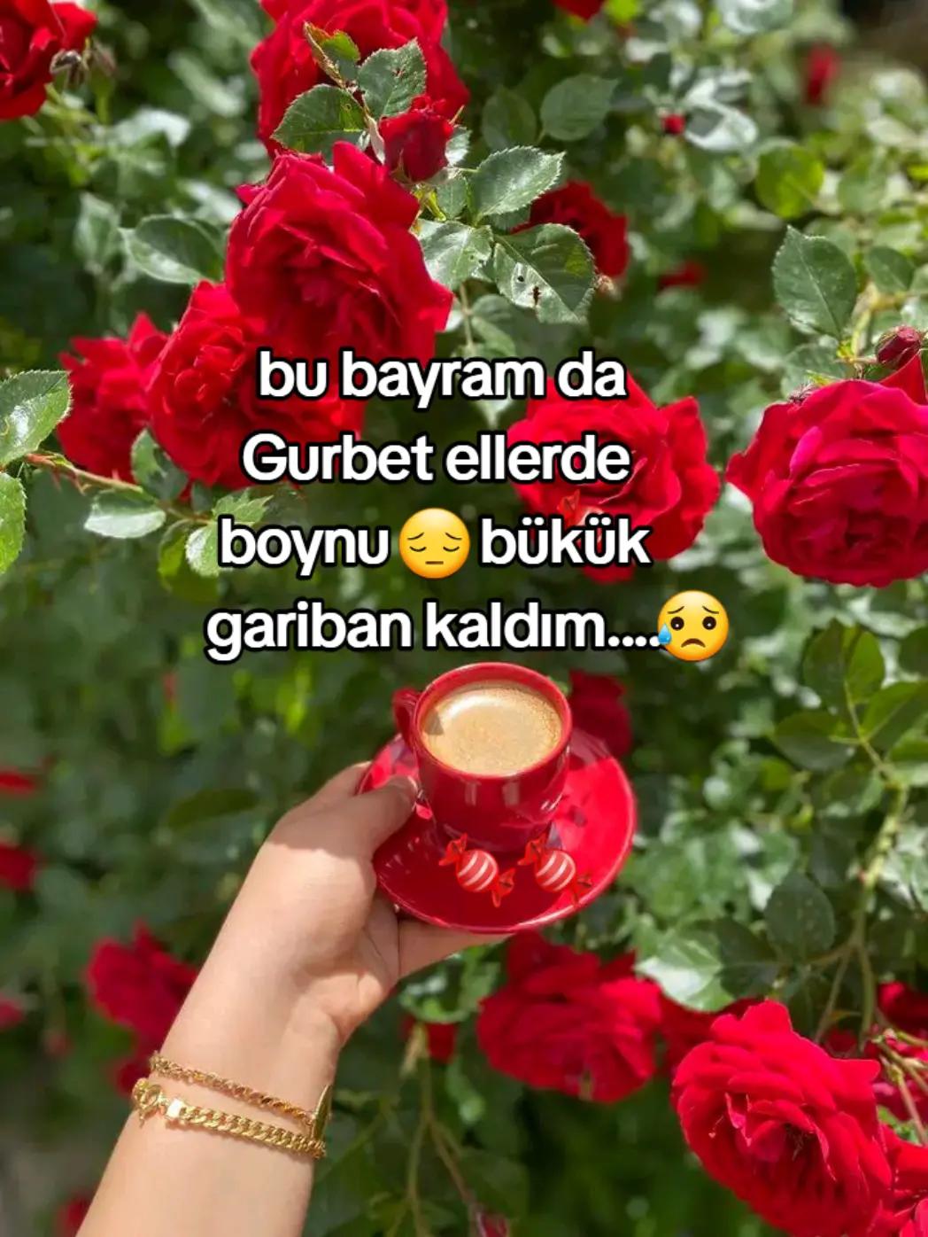@🇹🇷Yasemin 01 35🇹🇷