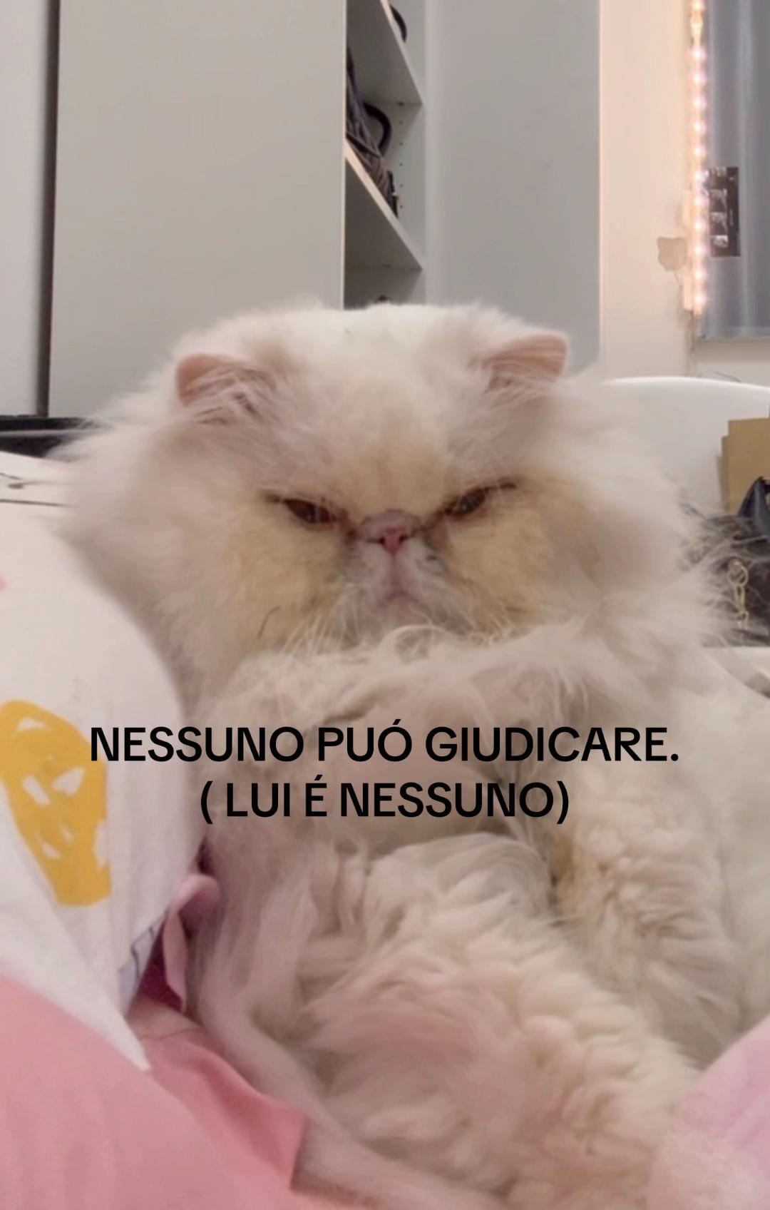 @Evelina Rudova 👑✨