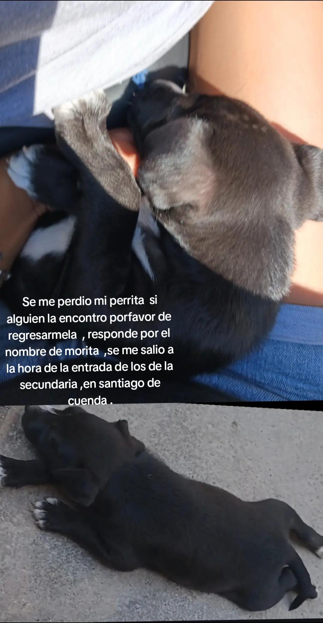 @La joselin