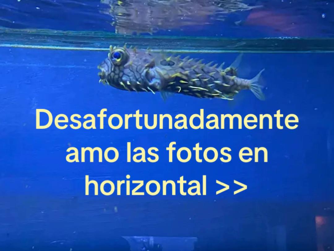 @Efrett ★