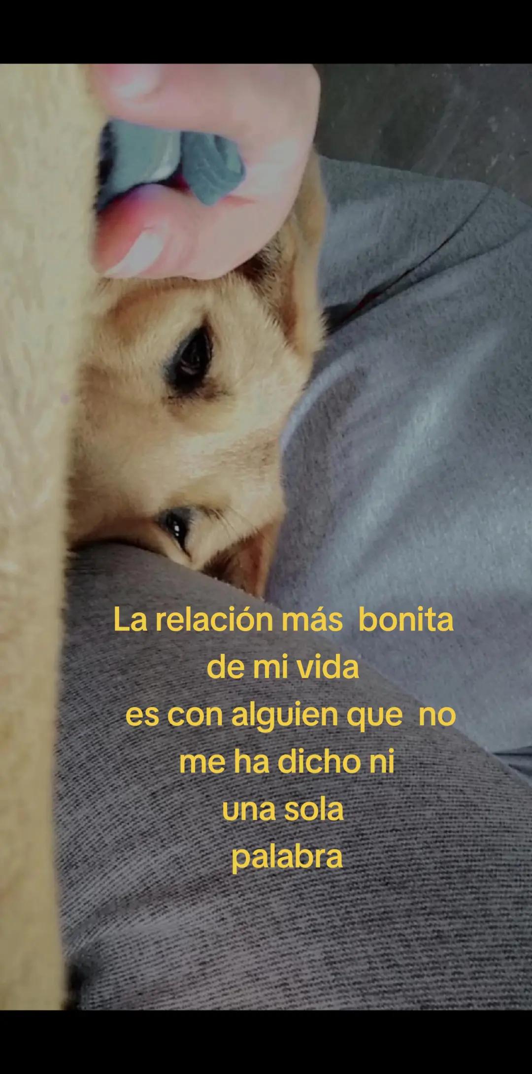 @𝑳𝒊𝒔𝒔💜