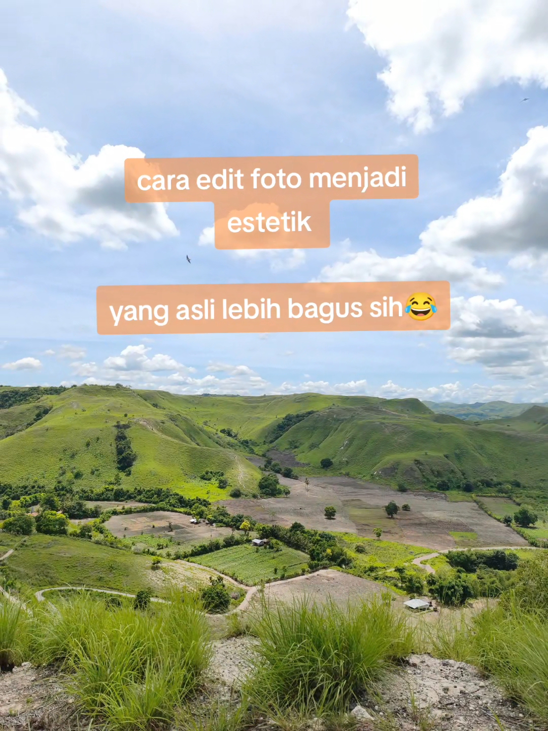 @Wonders Of sumba