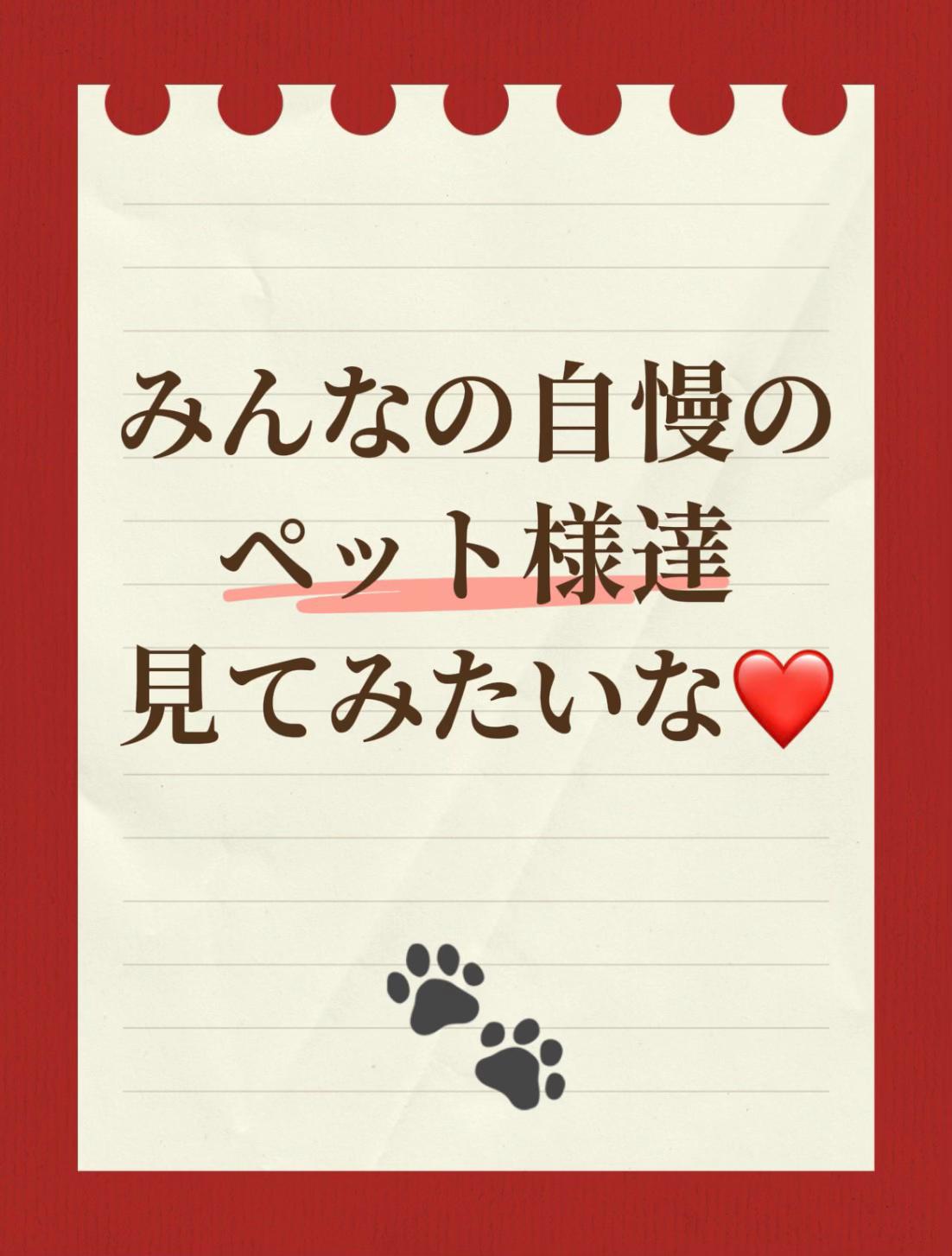@🌺Hiro沖散歩🤍🌺