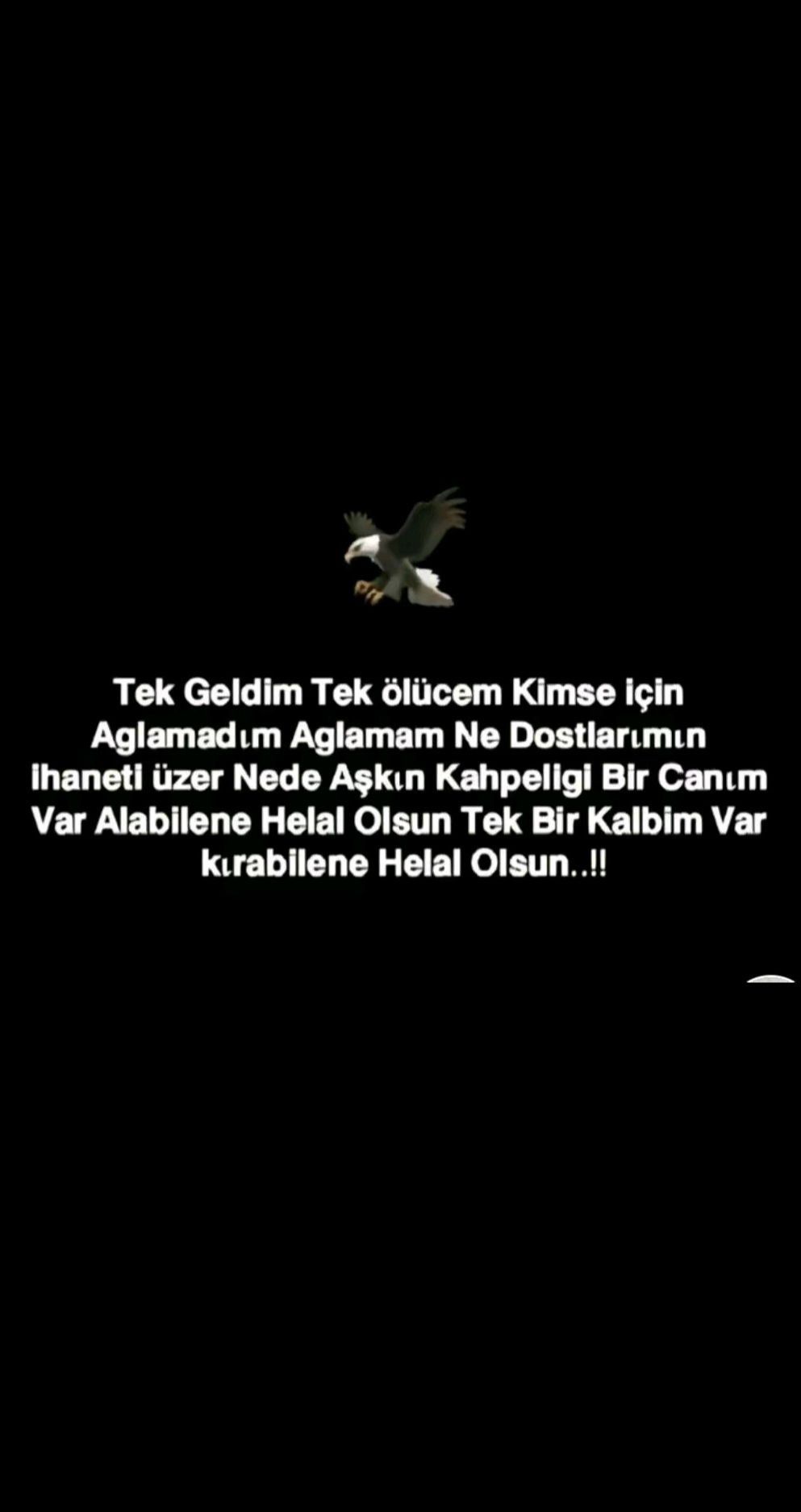 @🕊️