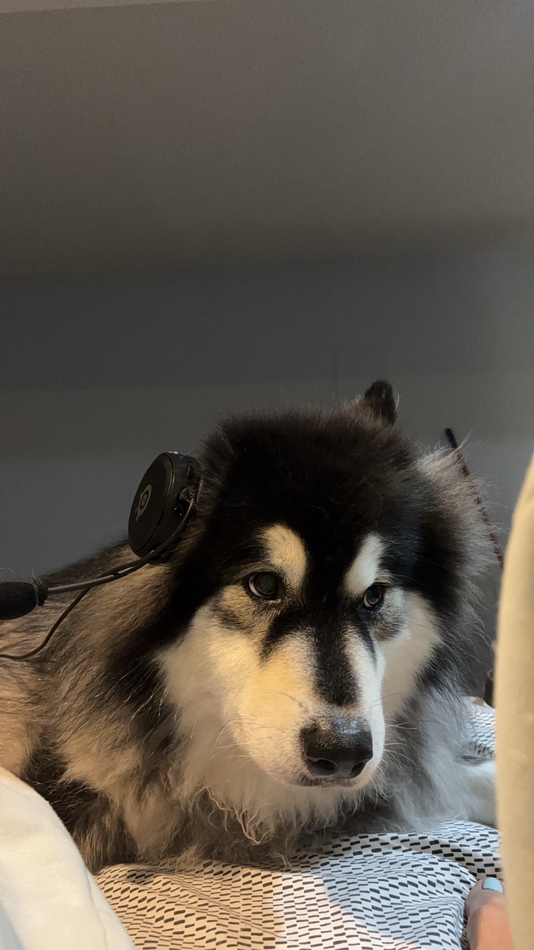 @<3