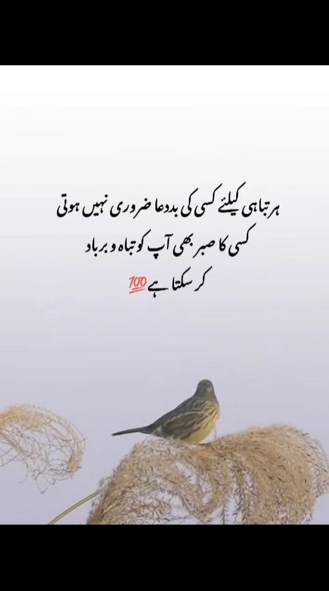 @Raheem Khan
