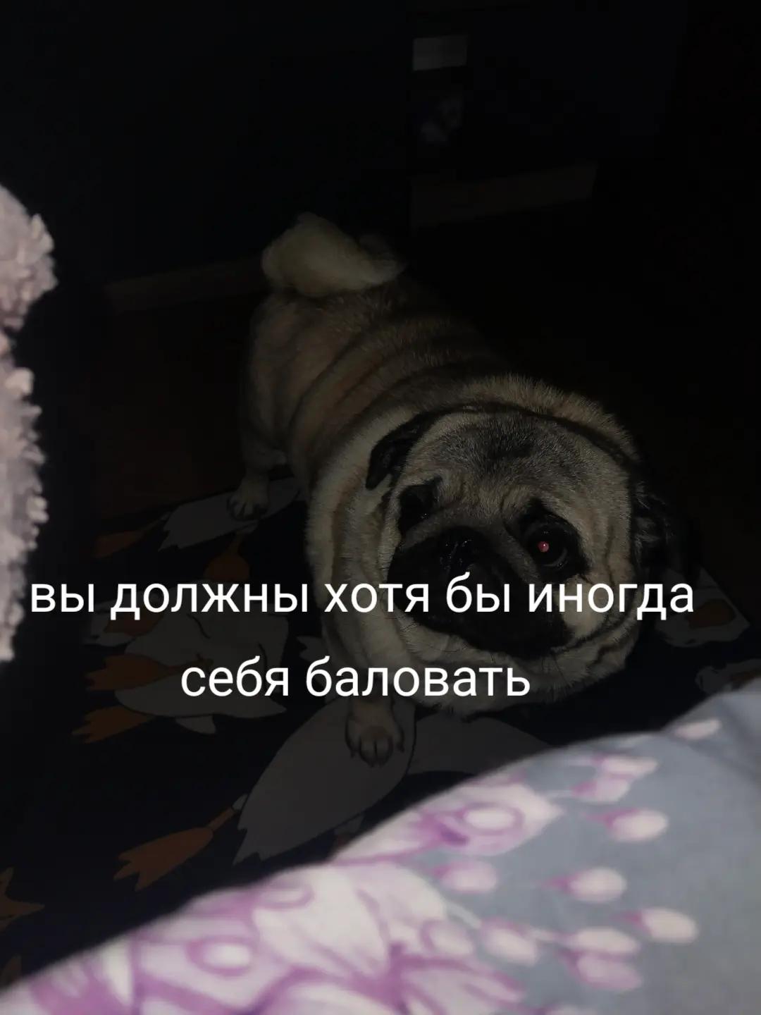 @kenvyx𐙚