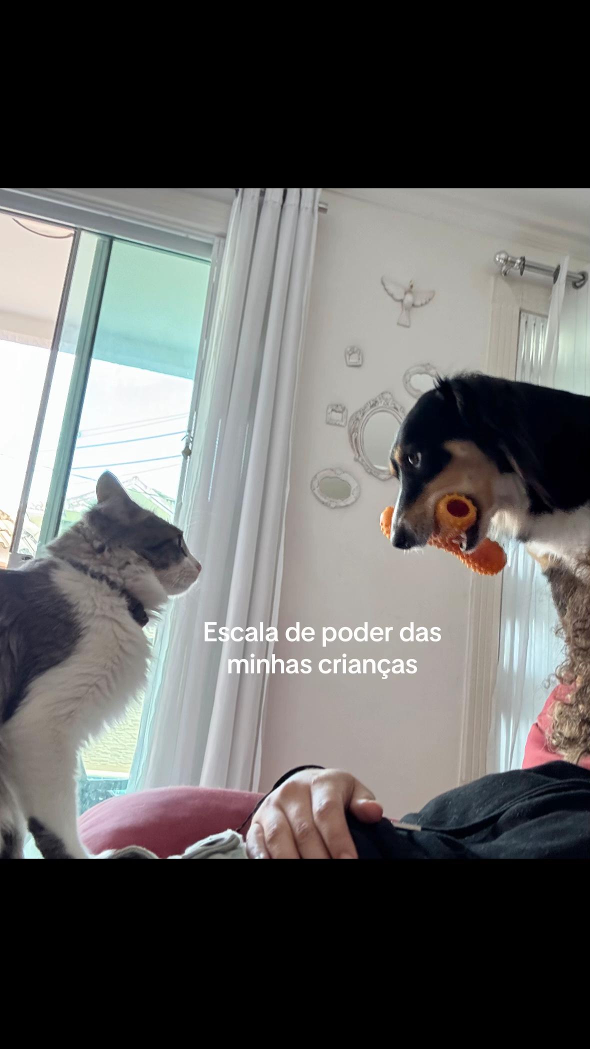 @beatriz wolter