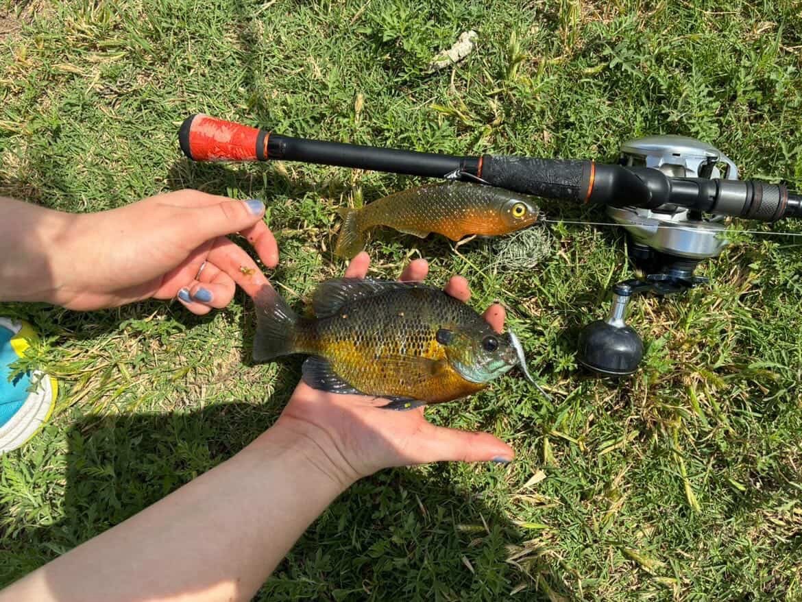 @Tacklehead Fishing