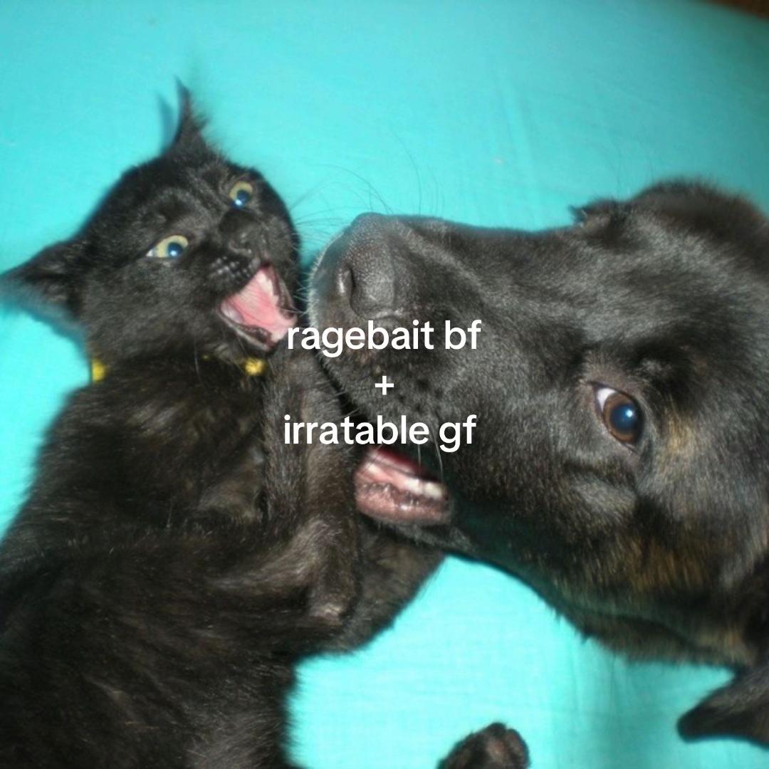 @Miau