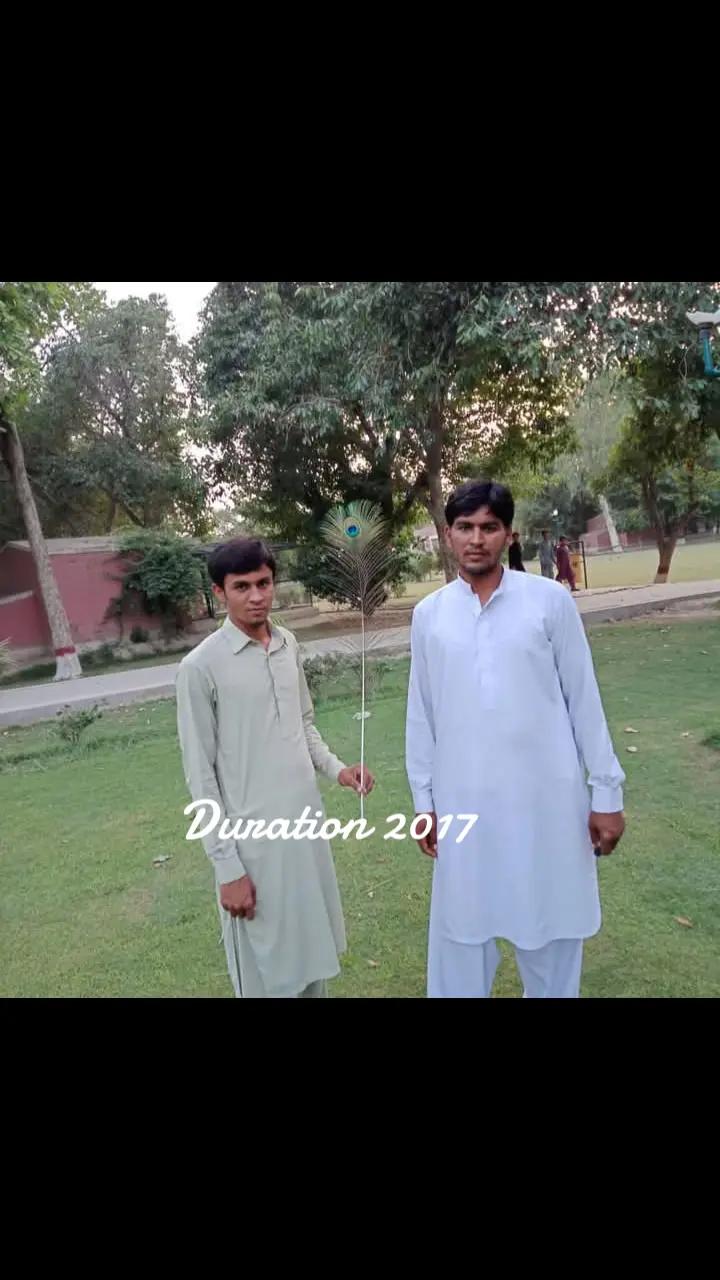 @malisahu786