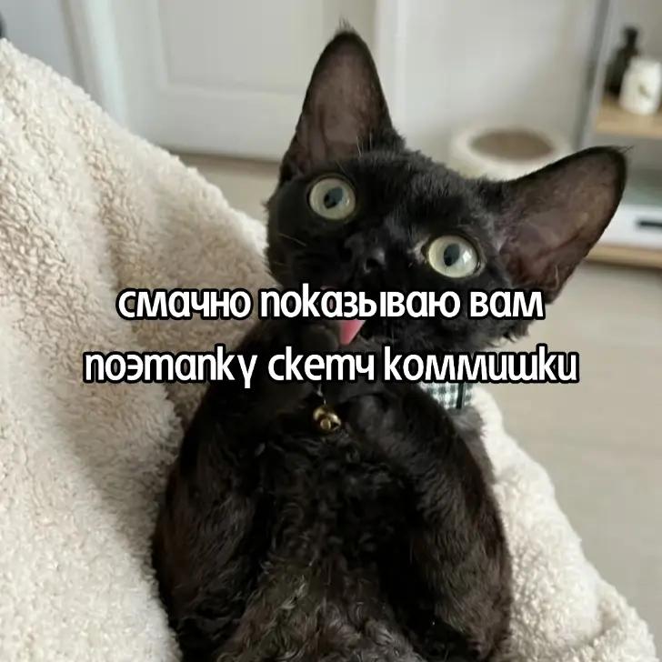 @𔓕жена Грелля всея фд тд・.♰˚