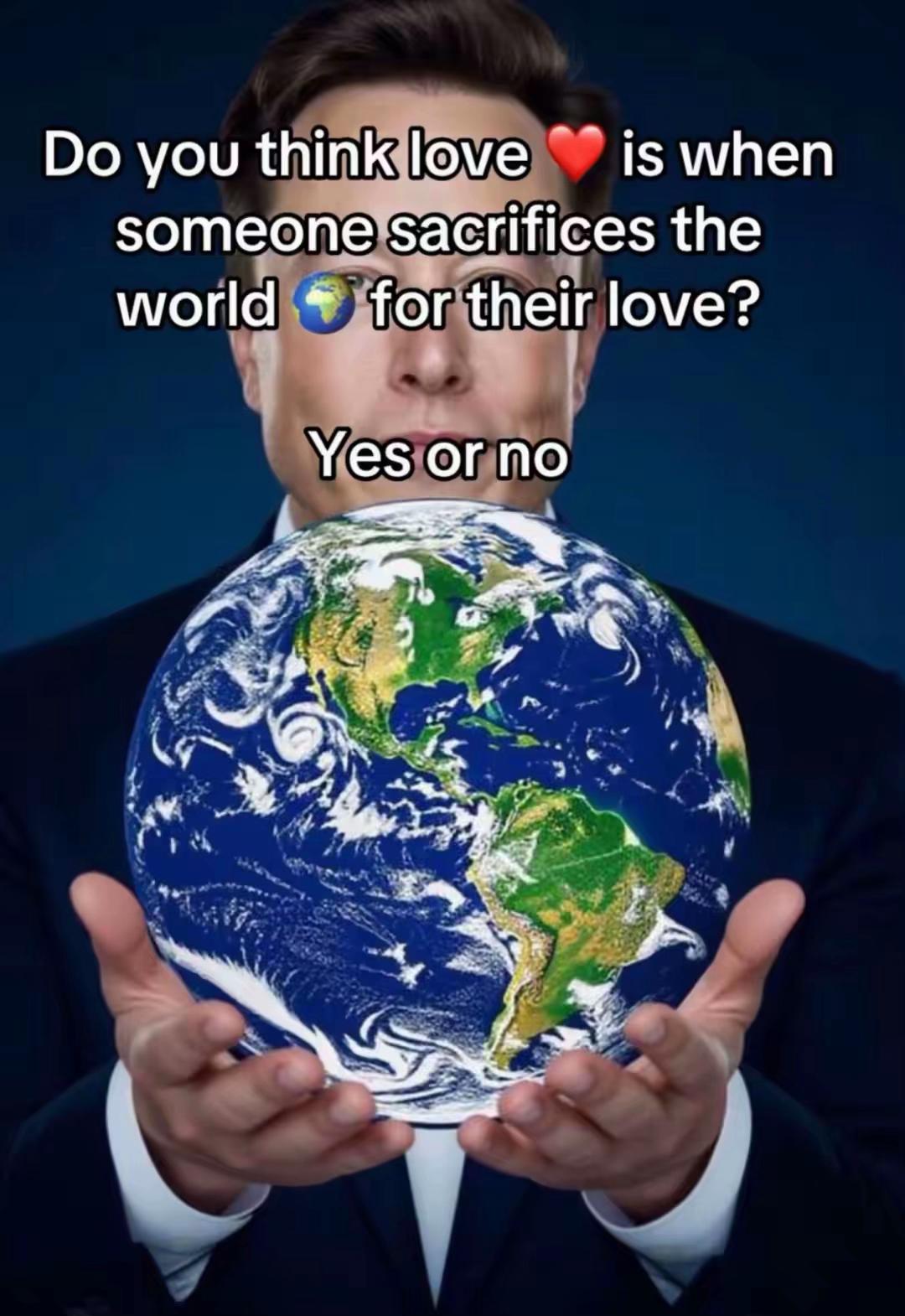 @Elon Musk