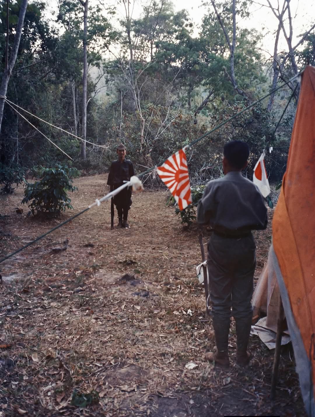@Hirohito Michinomiya