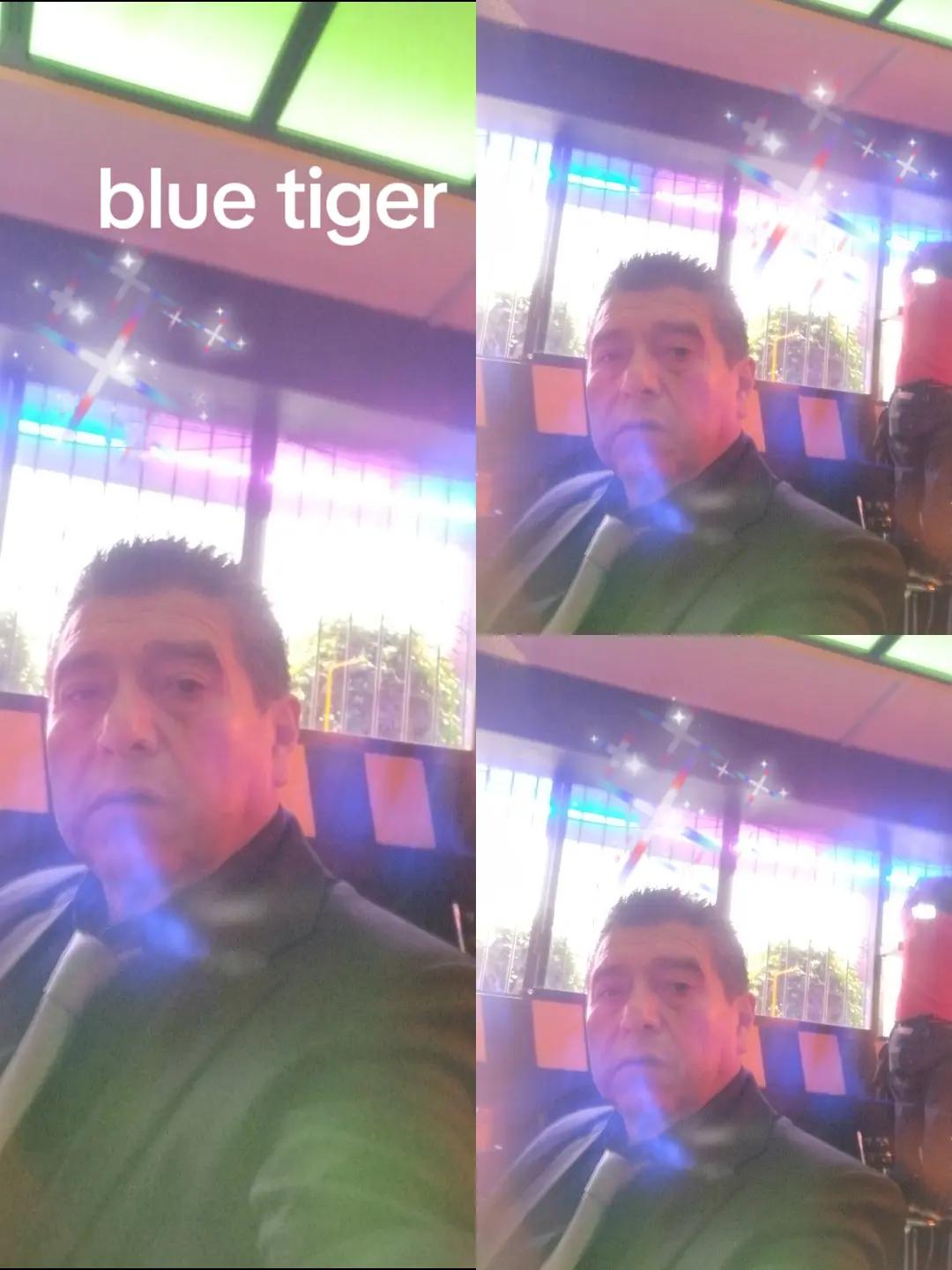 @bluetiger
