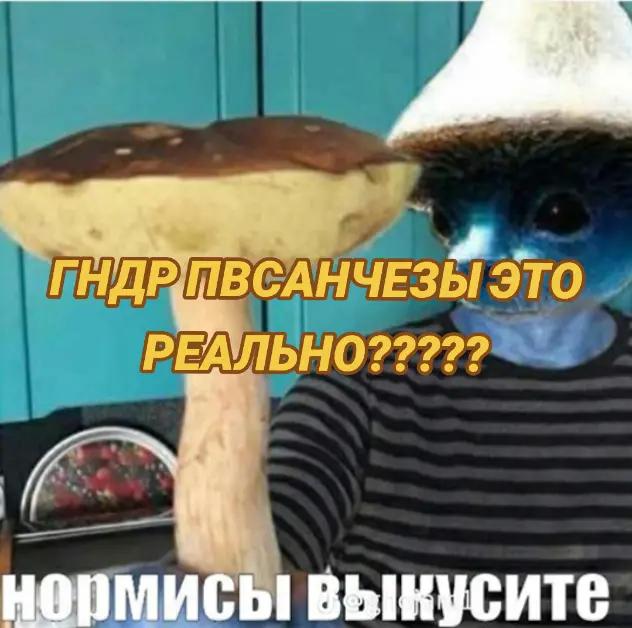 @vmerl0