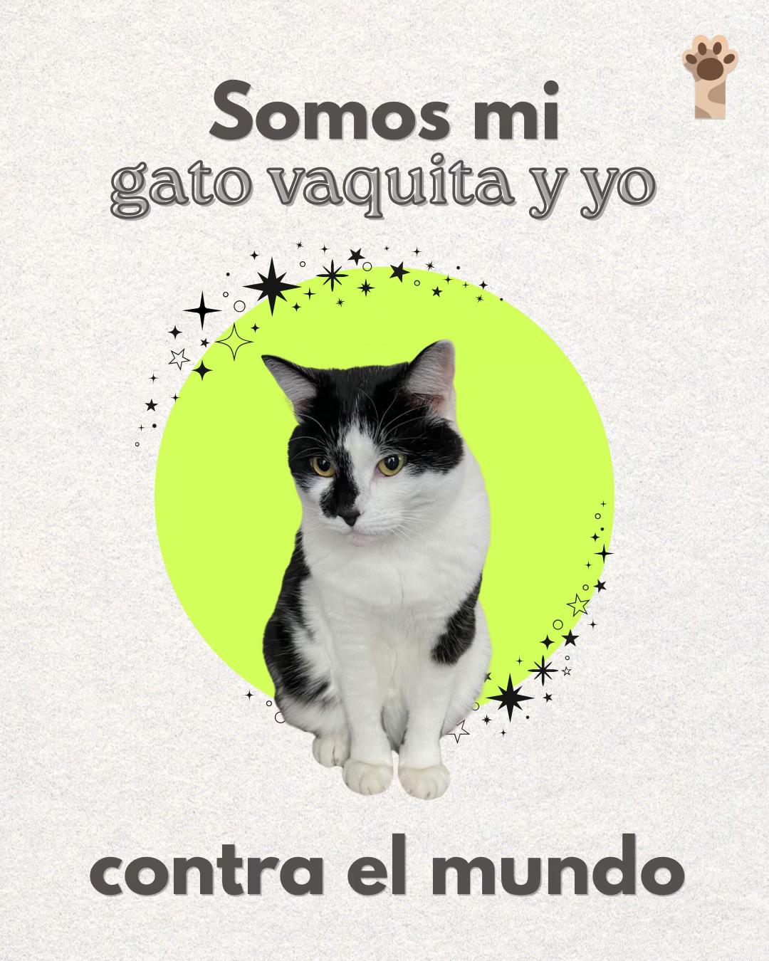 @Petlife