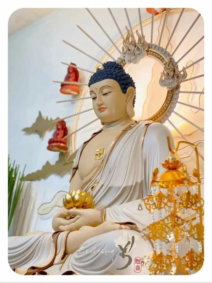@Hoa 🌺🌺🌺 trên đá