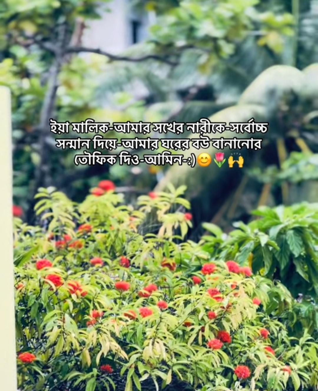@Mohammad Ullah
