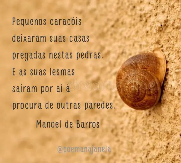 @Poema na Janela