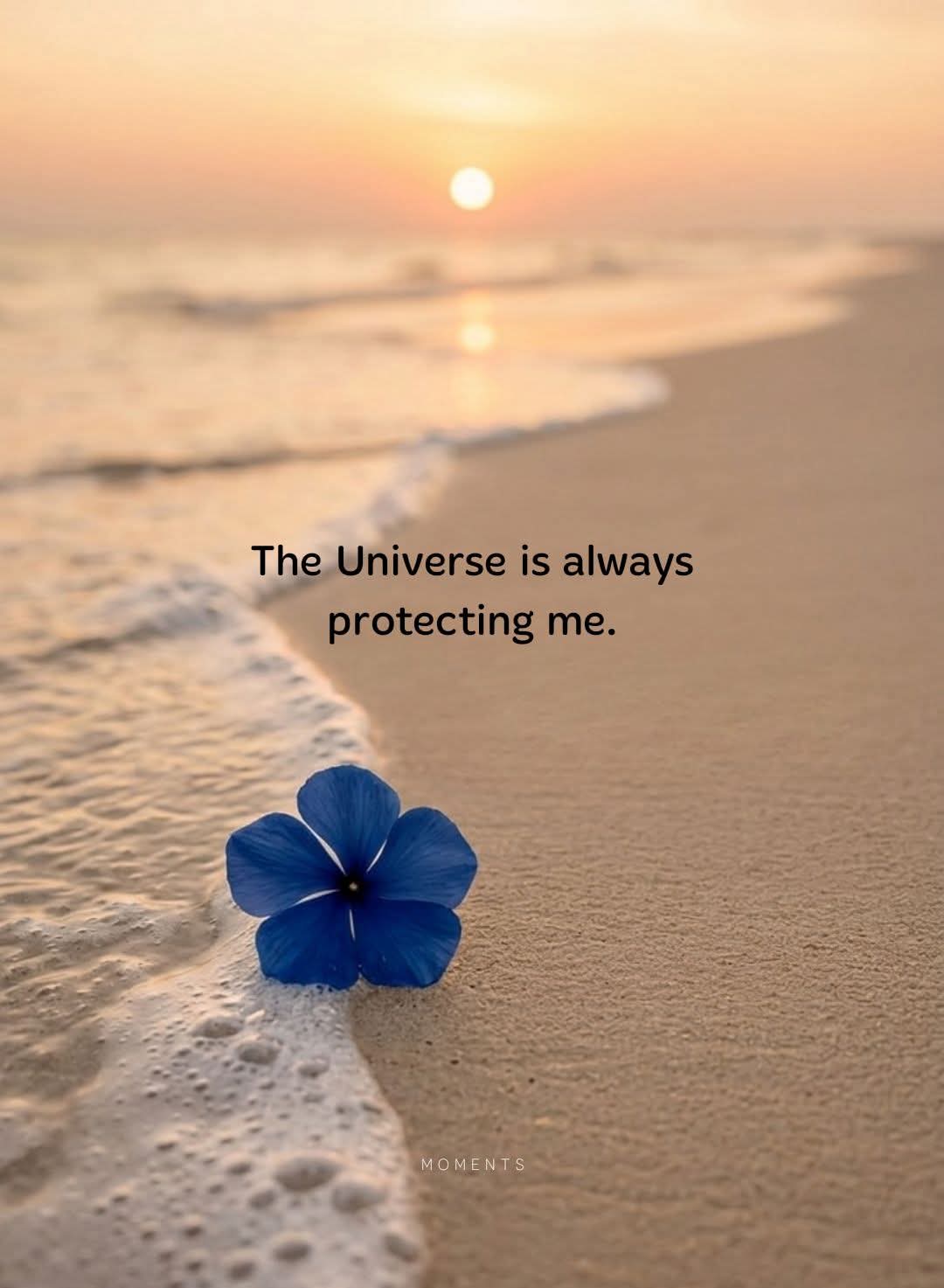 @🦋🌻✨️Dhamini Anvi✨️🌻🦋
