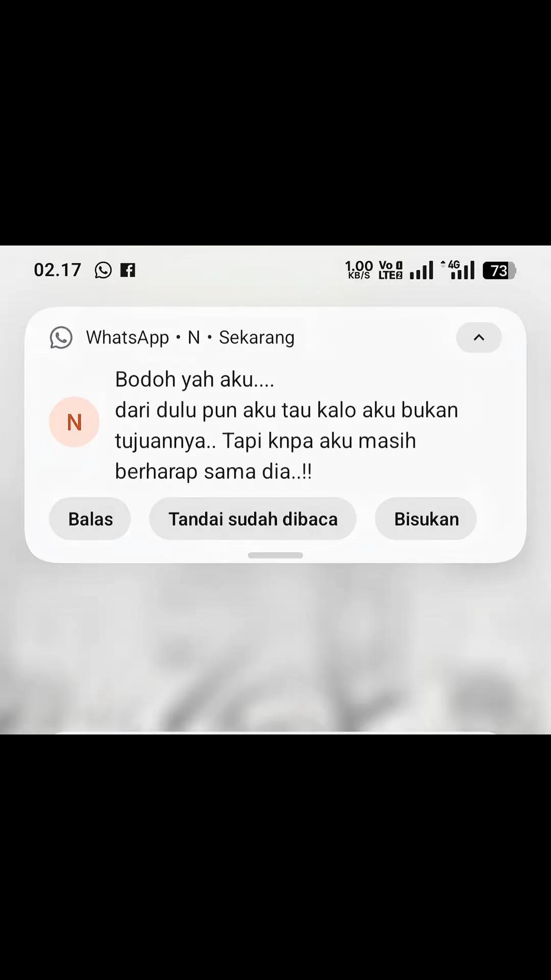 @ibu'e rafvien
