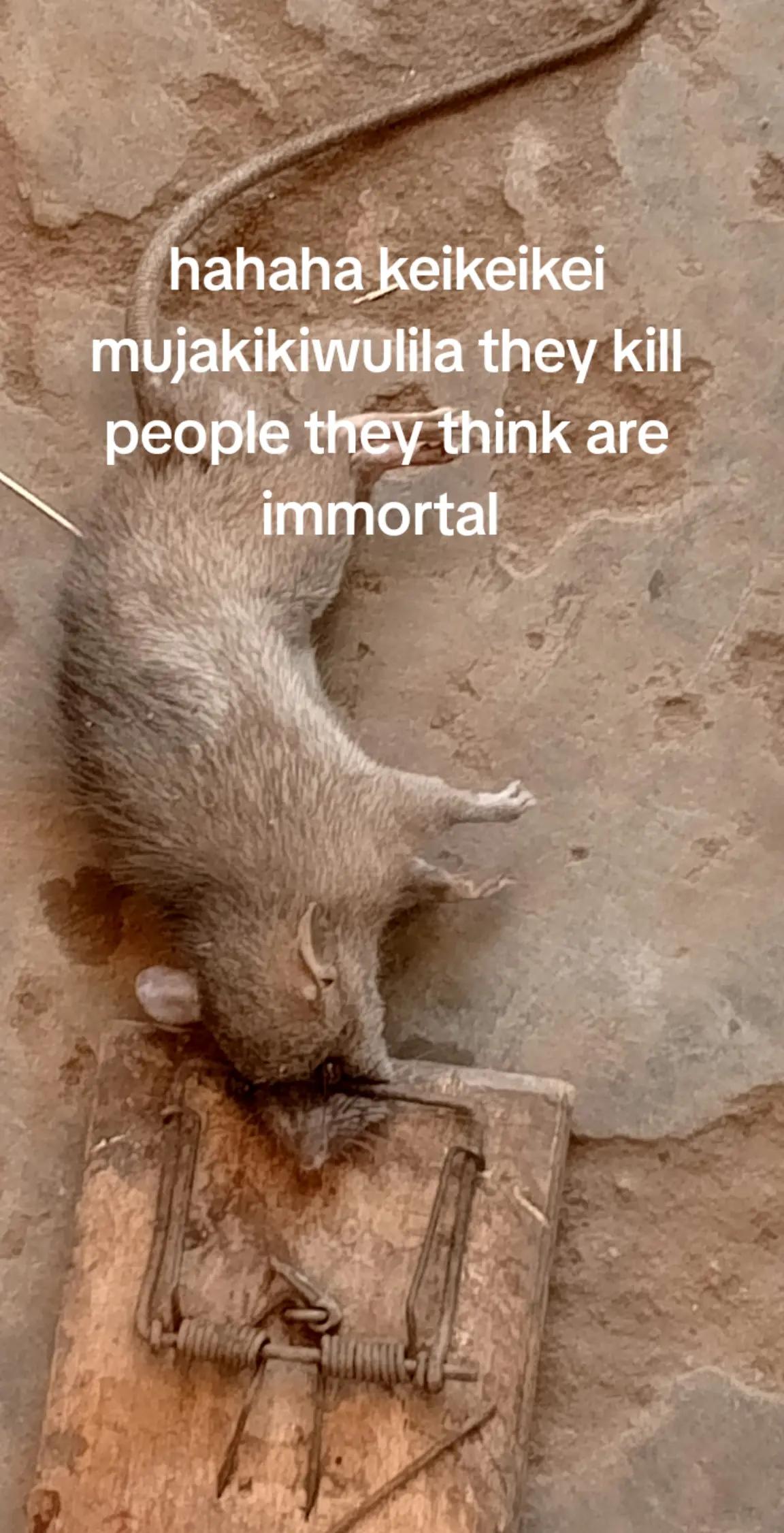 @Africa