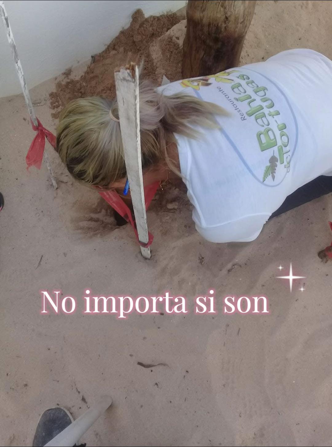 @🌸Beatriz Rodríguez 🌸
