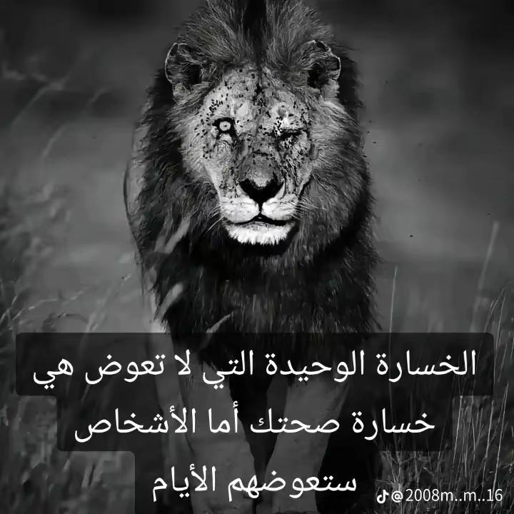 @🦁 scarface 🦁
