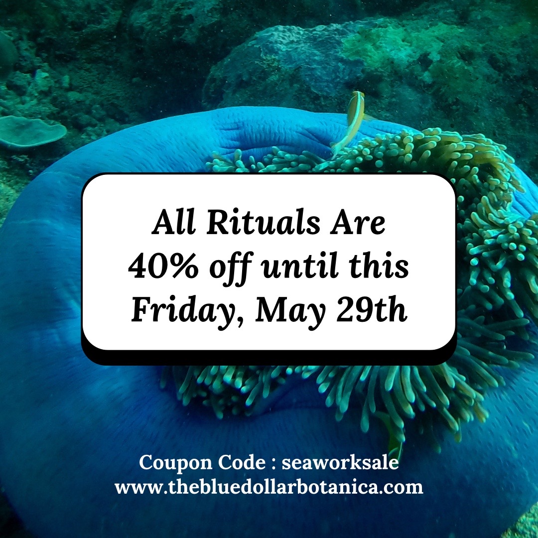 @🧜🏽&zwj;♀️Book Readings & Rituals