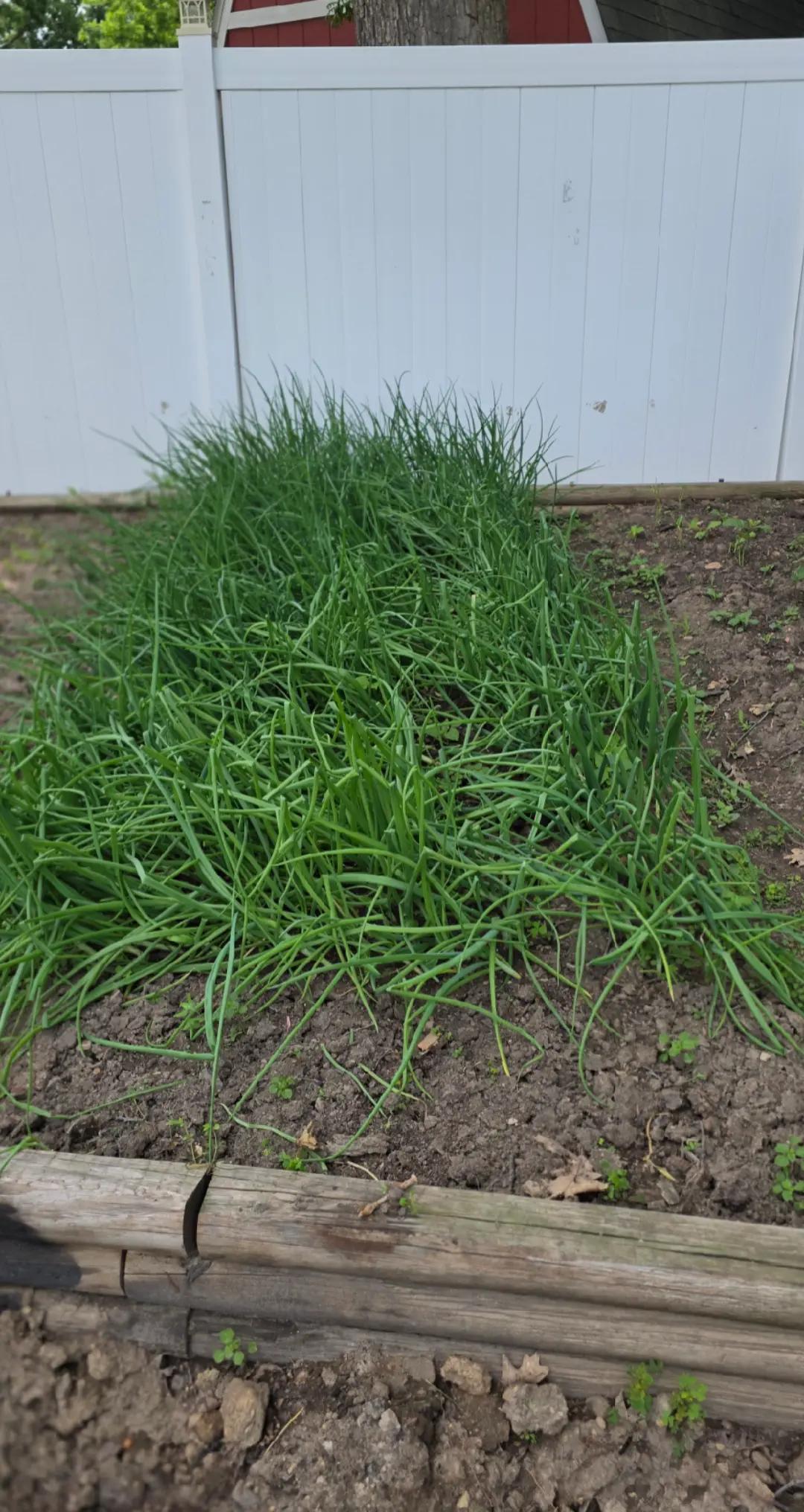 @Anand 🇬🇾 🇺🇸