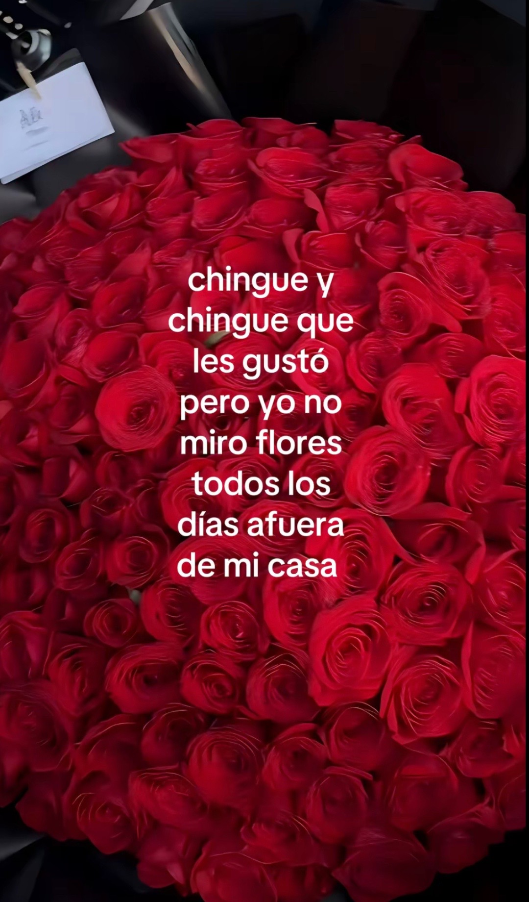 @Lisbeth 184