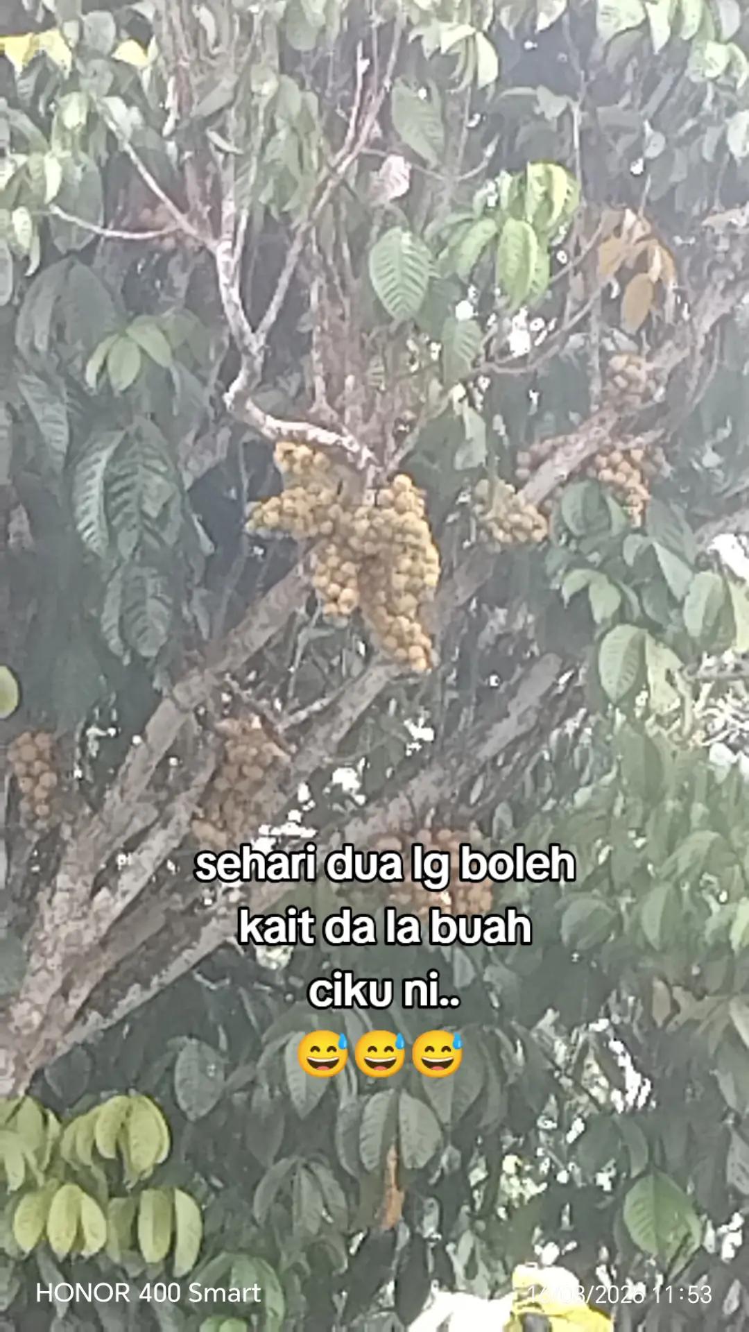 @@renyut78