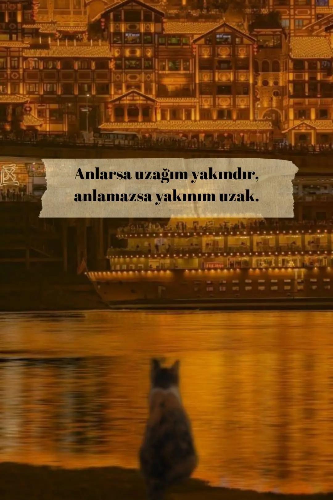 @Tuğba D.