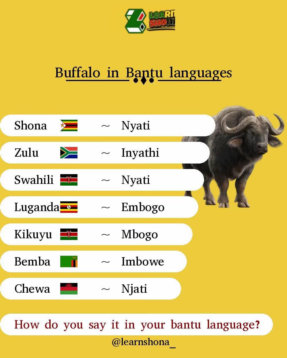 @Learn Shona