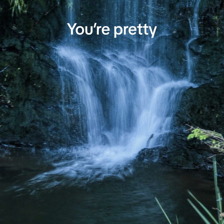 @Jocelynlindle