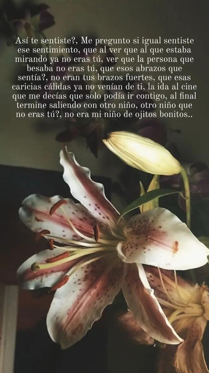 @💗dianiss🦥