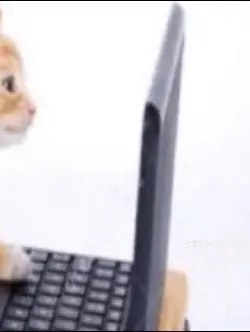 @ 💤