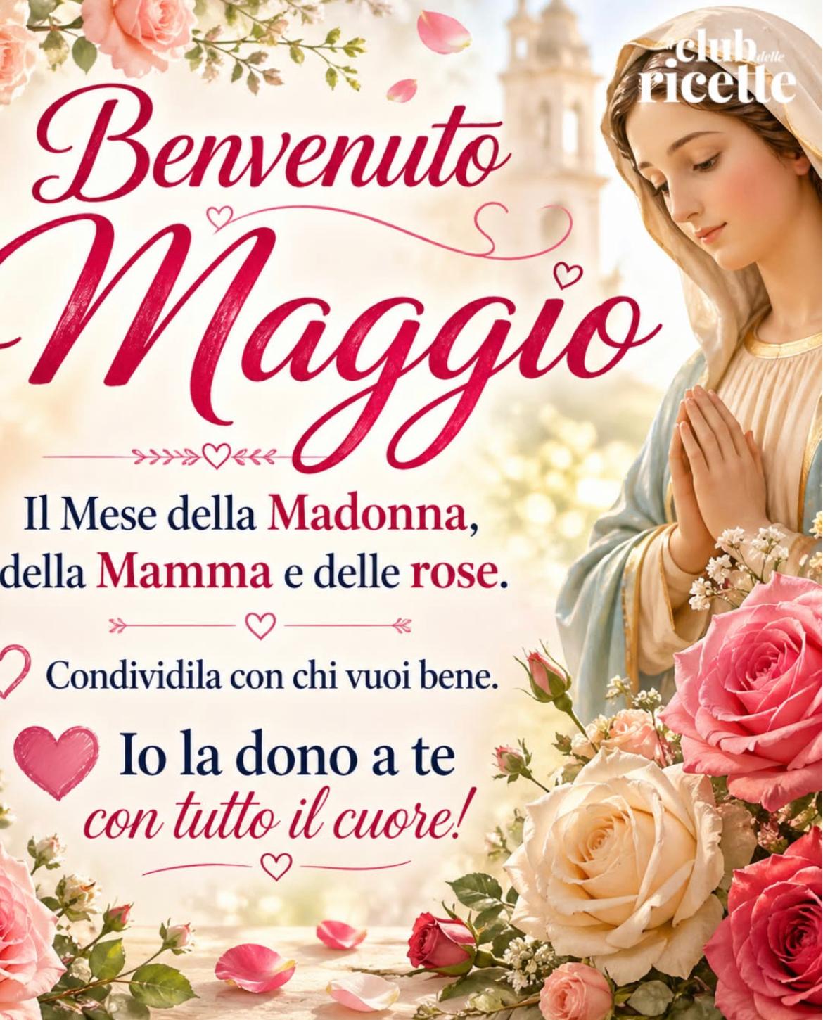 @Carmela Amato